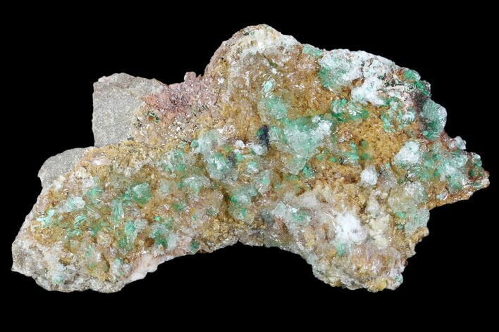 Rosasite, Selenite and Ferroan Dolomite Association - Morocco #104176